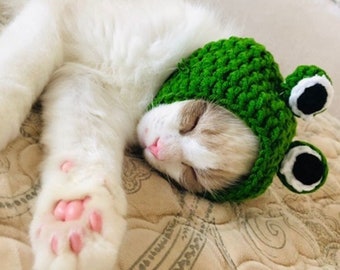 Adorable Pet Funny Hat Cartoon Frog Shape Pet Cap Weaving Puppy Cat Hat Pet Grooming Supplies kawaii Handmade pet hats green frog decoration