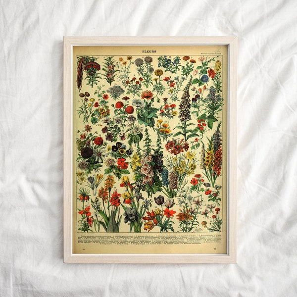 Geometric Nature Print Digital Download - Etsy