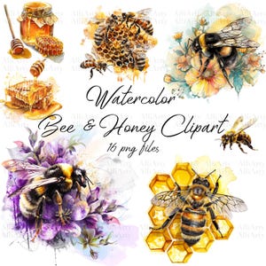 Watercolor Bee Honey Clipart, 16 PNG files, Instant Download Honeycomb Bundle for commercial use, Digital Illustration of bees with flowers
