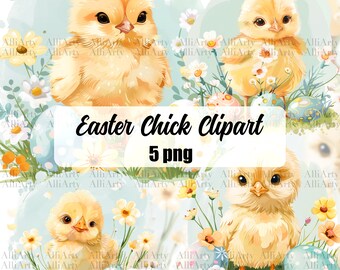 Easter Baby Chick Clipart 5 png, Easter Chicken Bundle, Easter graphics, Spring designs, With transparent background and commercial use