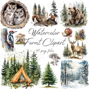 Aquarelle forêt Clipart, 40 fichiers PNG, téléchargement immédiat forêt Nature animaux sauvages pour un usage commercial, Illustrations de randonnée estivale
