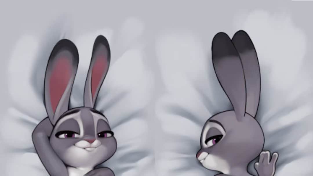 Judi Dakimakura Pillow Cover 2 Way Tricot Etsy