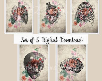 Juego de 5, Floral, Anatomía, Arte Médico, Regalo de Enfermera, Regalo de Estudiante de Medicina, Decoración de Oficina, Imprimible, Descarga Digital, Decoración de Pared Inspirada en Boho