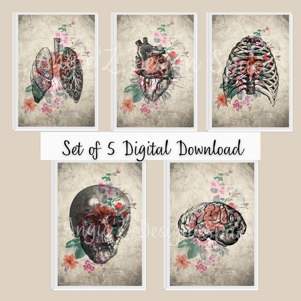 Set of 5, Floral, Anatomy, Medical Art, Nurse Gift, Med Student Gift, Office Decor, Printable, Digital Download, Boho Inspired Wall Decor