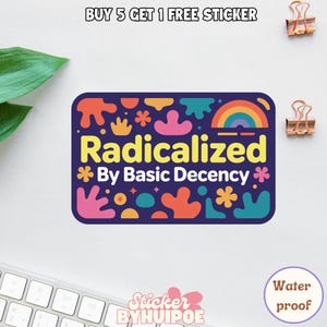Radicalized By Basic Decency Sticker, Political Humor Sticker,Activist Sticker,Liberal Sticker, Protest Sticker, Rainbow Sticker, Car Magnet