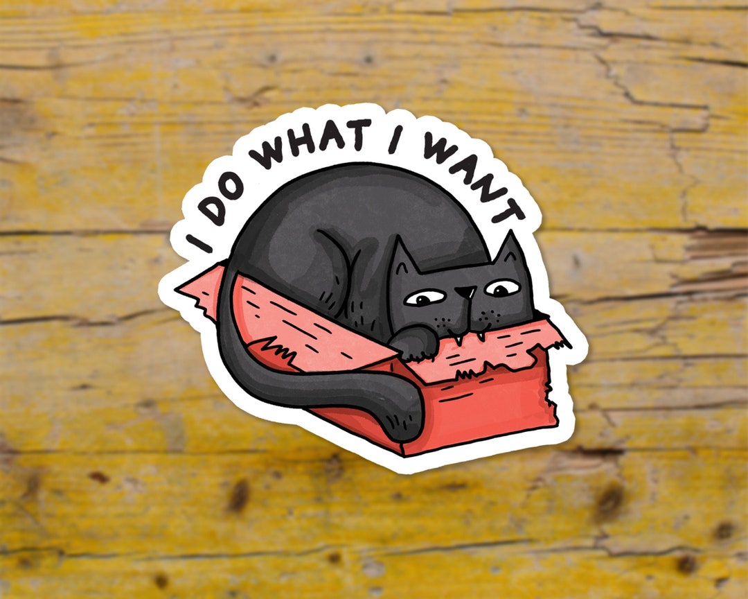 Black Cat Vinyl Sticker - Funny Cat Saying Sticker - Cute Cat Laptop ...