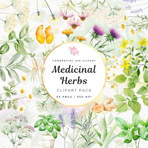 Clipart plantes médicinales, art numérique, clipart botanique, herbes médicinales, remèdes naturels png, phytothérapie, journal indésirable, pissenlit