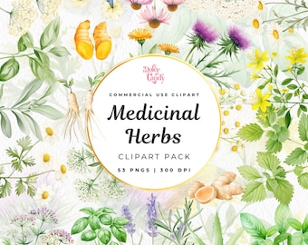 Medicinal Herbs Clipart, Botanical Art, Natural Remedies (PNG Digital Download)