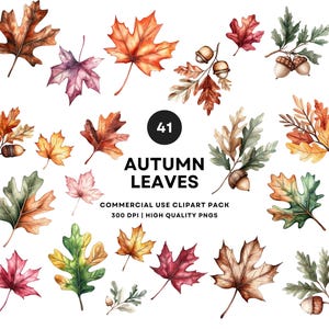 Set di clipart di foglie autunnali acquerellate, foglie di acero, quercia e ghianda autunnali in formato PNG, fogliame autunnale dipinto a mano, download digitale di foglie autunnali rustiche