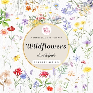Watercolour Wildflower Clipart png, Flowers Arrangements, Commercial Use, Wildflower Bouquet, Spring Field Summer Floral, Wildflower Bundle