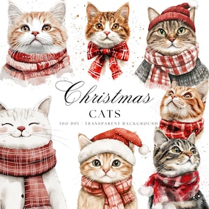 Clipart di gatti di Natale ad acquerello, illustrazioni di gatti festivi, PNG di gatti delle feste, gatti con sciarpe, grafica di gatti invernali, Natale miagolante