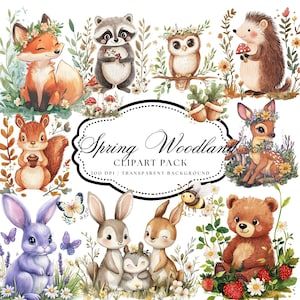 Spring Woodland Clipart, Baby Animal, Watercolour Clipart Bundle, Cozy Nature, Forest Animals, Wild Flowers, Deer, Bear, Whimsical, Bunny