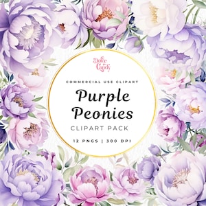 Púrpura Peonía Acuarela Clipart Png, Flores Lila Posy, Peonías y Vegetación, Uso Comercial, Boda Floral, Flor de Verano, Floral de Primavera