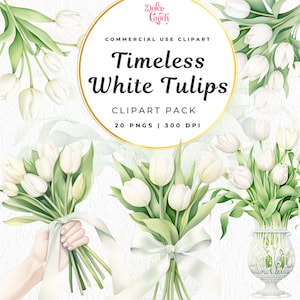 Pacchetto di clipart di tulipani bianchi eleganti senza tempo dell'acquerello, illustrazione di bouquet di fiori, grafica di vaso di fiori, uso commerciale, PNG floreale di nozze