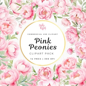 Rosa Pfingstrosen Aquarell Clipart Png, rosa Sträußchen Blumen, Pfingstrosen und Grün, kommerzielle Nutzung, Hochzeit Floral, Sommerblumen, Frühling Floral