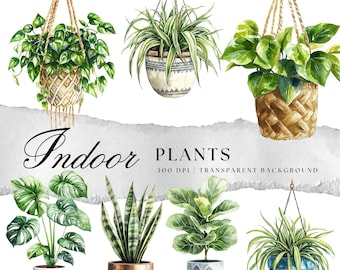 Watercolor Indoor Plants Clipart, Tropical Foliage (Digital Download)