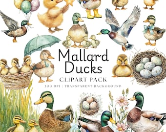 Watercolor Mallard Duck Clipart: Baby Shower PNG (Digital Download)