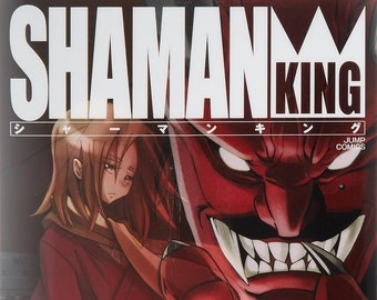 Shaman King Vol 16 by illustrator Hiroyuki TAKEI