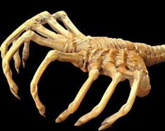 Konami Alien Vol 1 SF Movie Selections - Face Hugger