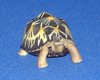 Furuta, Kaiyodo Chocoegg Animals Part 6 #8 Radiated Tortoise