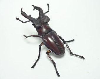 Takara, Kaiyodo ChocoQ Animatales Part 2 #248 Miyama Stag Beetle (Hokkaido type)