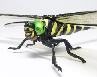 Yujin, Kaiyodo Japanese Insects Gachapon #4 Golden-ringed Dragonfly