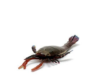 Kaiyodo Dinotales 7 Figure Collection Part 2 released at Lawsons - #9 Pterygotus (B color variation)