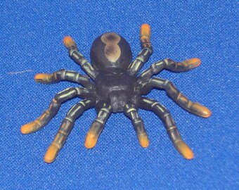 Furuta, Kaiyodo Chocoegg Animals Part 6 #6 Tarantula