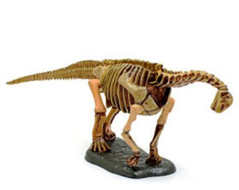 Kaiyodo Dinotales 7 Figure Collection Part 2 released at Lawsons - #3 Camarasaurus (skeleton) (A color variation)