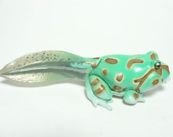 Takara, Kaiyodo ChocoQ Pets Part 5 #148 Ceratophrys Ornata Tadpole (turquoise)