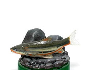 Kaiyodo Suntory Birdtales Series 2 Bottlecap: #7 Redfin