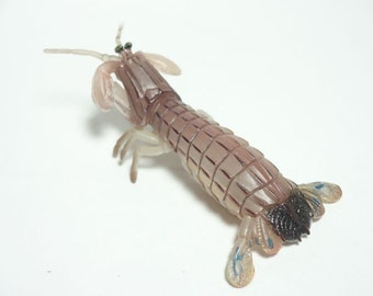 Yujin, Kaiyodo Shrimp & Crab Series 1 Gachapon #10 Japanese Mantis Shrimp