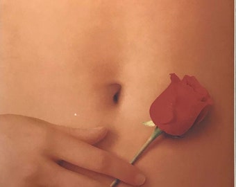American Beauty Japanese Movie Brochure