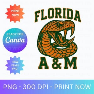 FAMU Florida A&M INSTANT DOWLOAD 2025 famu florida am university, 300 Dpi png, dtf, tumblr, sublimacja