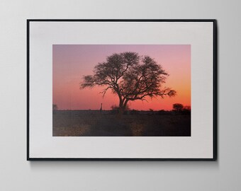 Sunset on the Etosha Safari Print, Landscape of Africa Sunset Giraffe, Simple Photograph Nature Art