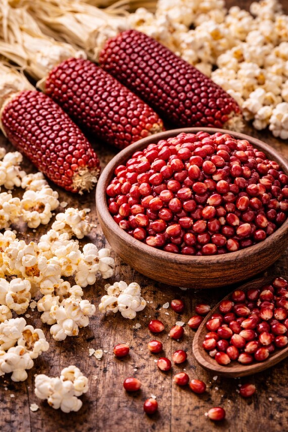 Organic Strawberry Popcorn Seeds - Non GMO - Easy to Grow Vegetable Garden  - Etsy