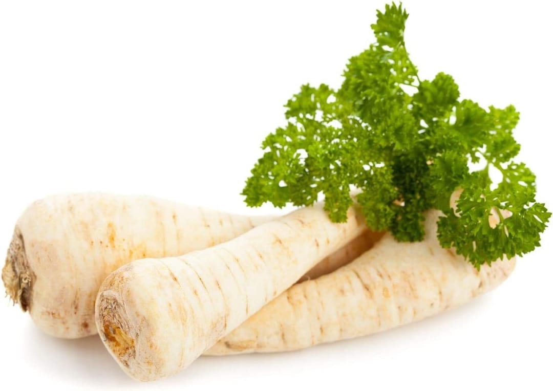 Parsley Root Seeds Dutch Hamburg: Heirloom Non-gmo Vegetable, Organic ...