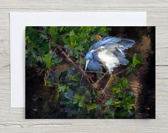 Tricolored Heron, Original Art, 5x7 Note Card with Envelope, Blank Inside