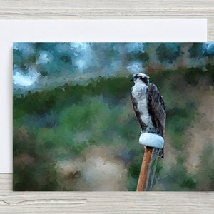 Osprey, Original Art, 5x7 Note Card with Envelope, Blank Inside