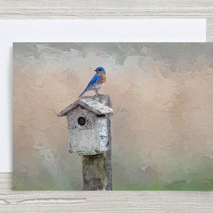 Eastern bluebird, Original Art, 5x7 Note Card with Envelope, Blank Inside