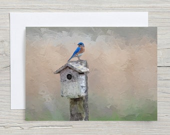 Eastern bluebird, Original Art, 5x7 Note Card with Envelope, Blank Inside