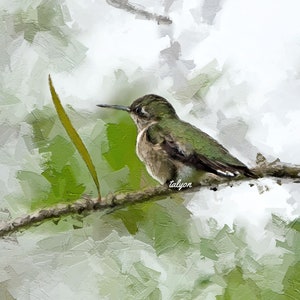 May include: A green and brown hummingbird perched on a branch with a green leaf in the background. The hummingbird is facing to the right and has its wings folded. The background is a soft, white and green watercolor wash.