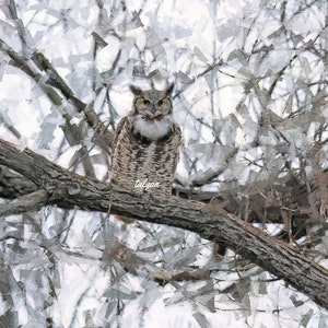 GREAT HORNED OWL Fine Art Print, bird print, nature, birding, birder gift, original art