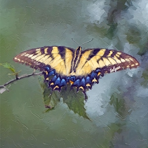 EASTERN TIGER SWALLOWTAIL, Fine Art Print, butterfly print, nature, garden, gardener gift, digital painting