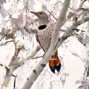NORTHERN FLICKER Fine Art Print, bird print, nature, birding, birder gift, original art