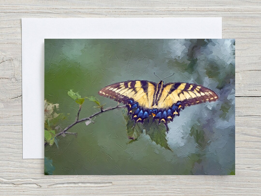 Eastern Tiger Swallowtail, Original Art, 5x7 Note Card With Envelope ...