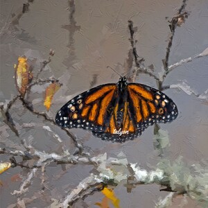 MONARCH BUTTERFLY, Fine Art Print, butterfly print, nature, garden, gardener gift, original digital art