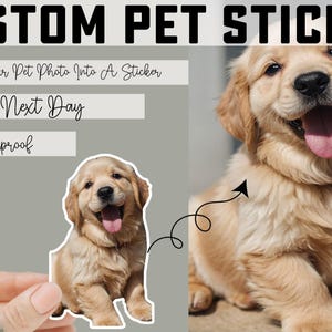 Custom Pet Sticker, Die Cut Vinyl Waterproof, Personalized Gift, Custom Dog Sticker, Custom Cat Sticker, Water Bottle Sticker, Pet Decal