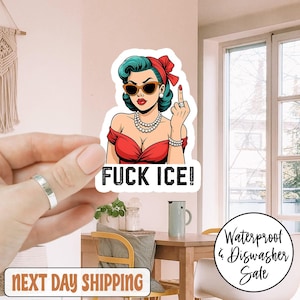 Fck Ice Trendy Sticker/Car Magnet, Fck ICe Sticker, Abolish ICE Sticker, Resistance Leftist Fck Trump Sticker, Human Rights