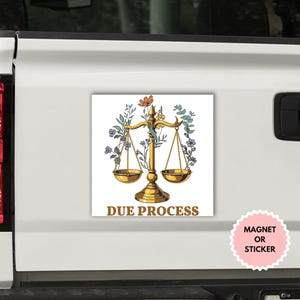 Due Process Protest Liberal Political Sticker/Car Magnet, Defend the Constitution Sticker, Democrat Sticker, Fight Fascism Impeach Trump